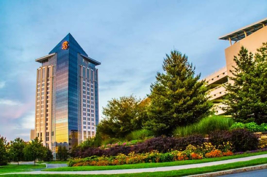 How Google Uses casino To Grow Bigger