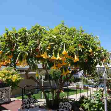 Rose Garden Inn Hotel Exterior