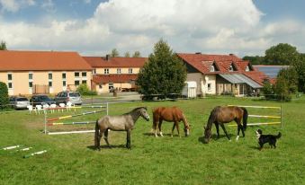 Pension Lindenhof Drabsch - Housity