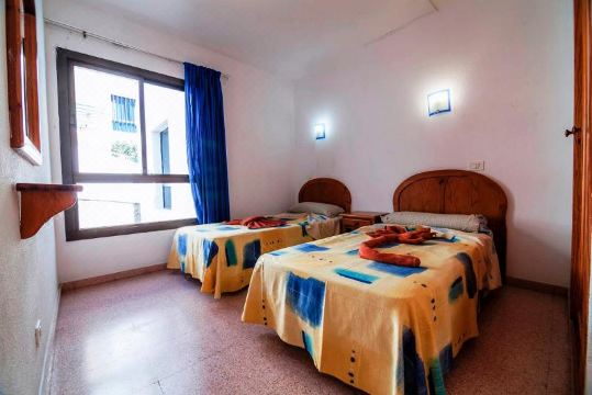 Heliomar Palmeras - Housity