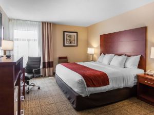 Comfort Inn & Suites Near Fallon Naval Air Station