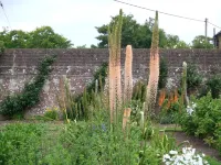 Courtlands Nurseries B&B