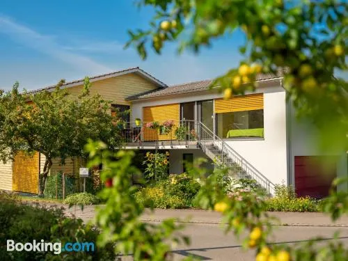 塞塔爾綠洲住宿加早餐旅館