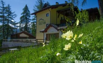 Stelviostay Residence Stelvio