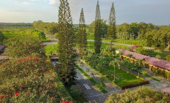 a lush green park with tall trees and a pathway , surrounded by buildings and trees at Hacienda la Danesa