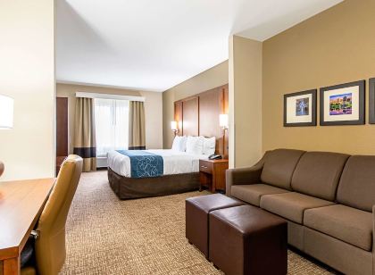 Comfort Inn & Suites Pine Bluff