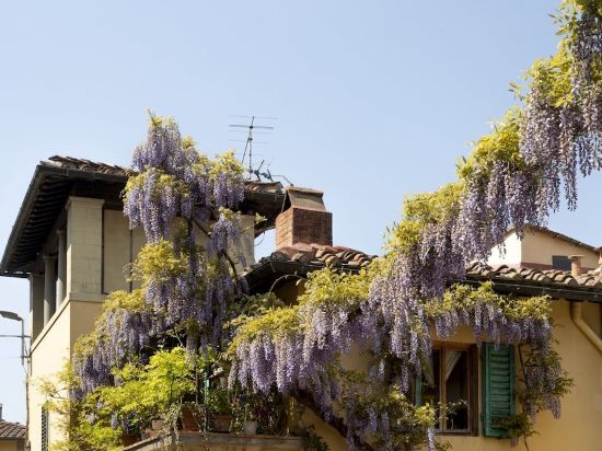 10 Best Hotels near Salvatore Ferragamo Museum, Florence 2022 | Trip.com