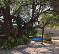 Fantasia Guesthouse