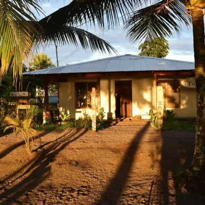 Casa Turtle Bogue - Hostel - Ostelli