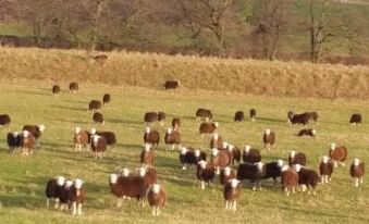 Boreland Farm