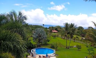 Island Goode's - Luxury Adult Only Accommodation Near Hilo