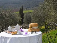 L'Agrifoglio