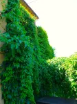 Apartamentos Casa Mata فنادق في Somontano de Barbastro