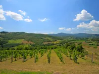 Montebello
