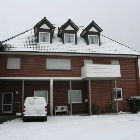 Silbermöwe