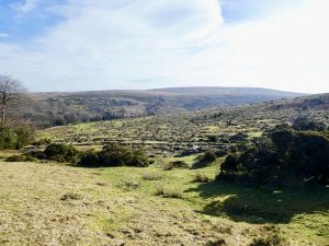 Dartmoor House B&B