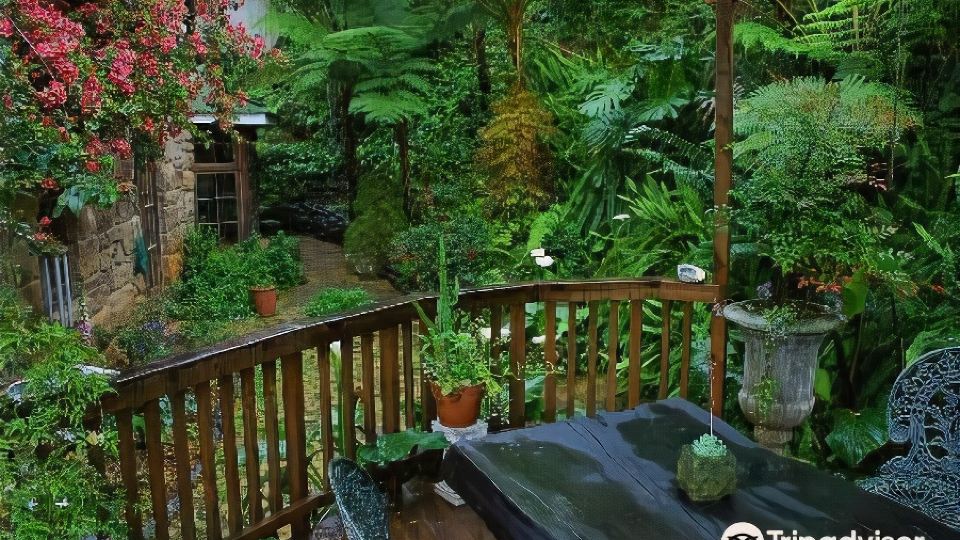 Country Lane Guesthouse