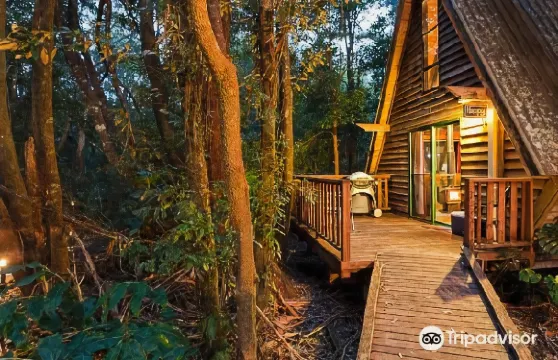 茅斯熱帶雨林度假村