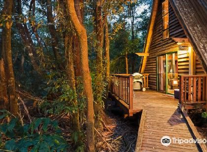 ザ マウス ハウス レインフォレスト リトリート