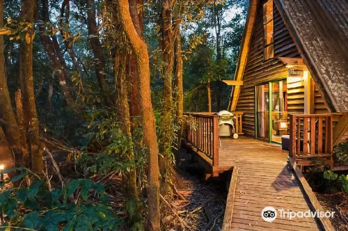 The Mouses House Rainforest Retreat Hotel di Springbrook