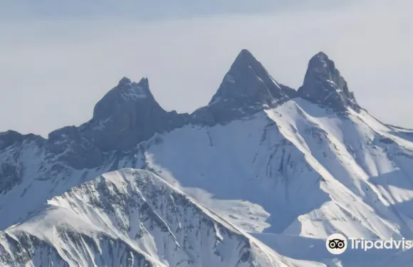 琪琪&可可民宿酒店