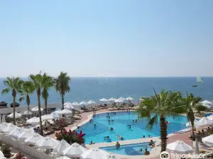 Flora Garden Beach Hotel - Adults Only 16 Plus - Couples Concept
