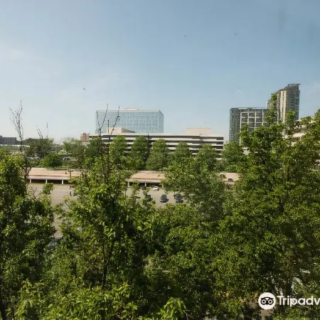 Hilton McLean Tysons Corner