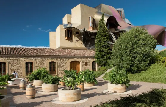 埃爾希耶戈侯爵標誌豪華精選酒店