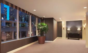 a potted plant is placed in a room with a large window and a lamp at Sheraton Grand Seattle