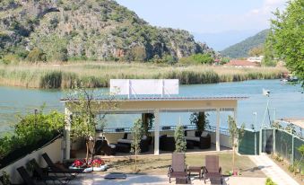 Arp Dalyan