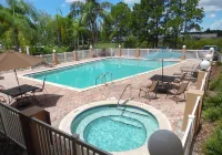 SureStay Hotel by Best Western St. Pete Clearwater Airport - piscine