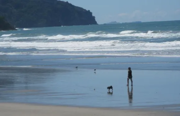 芙蓉住宿加早餐旅館