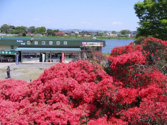 館林の東武トレジャーガーデン周辺のホテル 21おすすめ旅館 宿 Trip Com