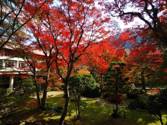 箱根湯本温泉 吉池旅館 箱根 宿泊予約 安い料金プラン 口コミ 部屋写真 Trip Com
