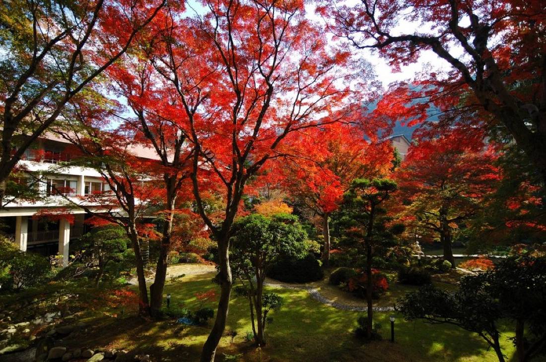 箱根湯本温泉 吉池旅館 箱根 を宿泊予約 22年安い料金プラン 口コミ 部屋写真 Trip Com
