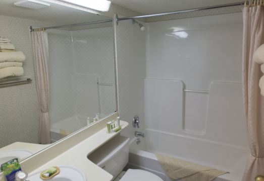 에버그린 지역 도서관