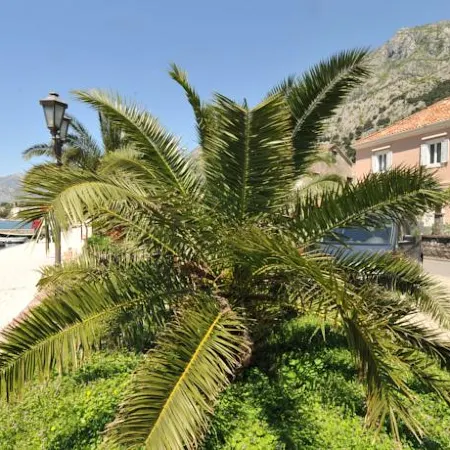 Apartments Marilu