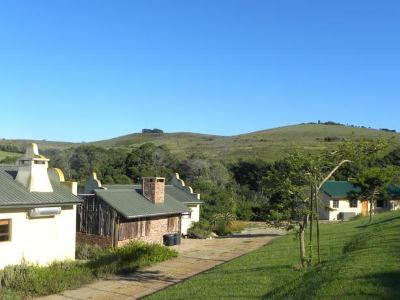 Hakuna Matata Game Farm