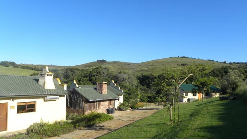 Hakuna Matata Game Farm