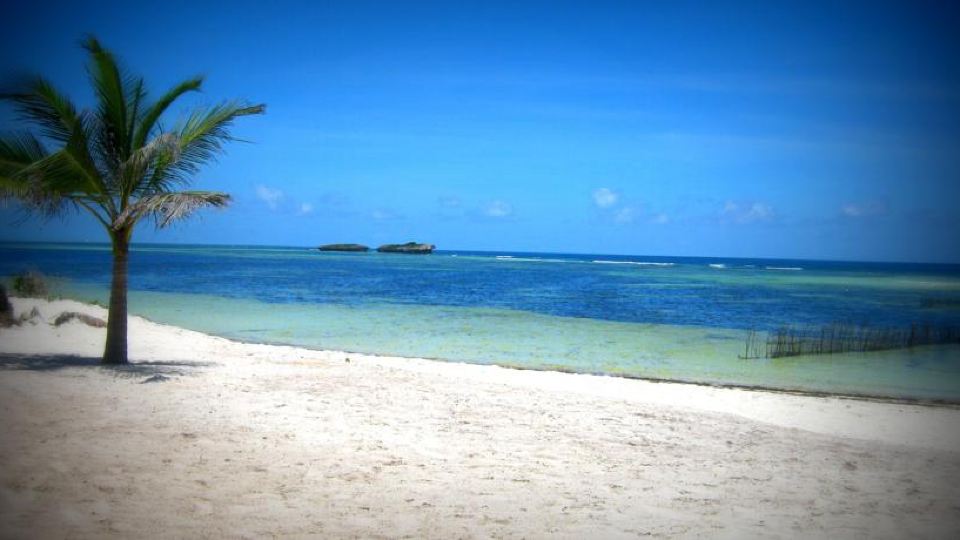 Lady D House Watamu