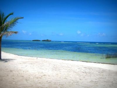 Lady D House Watamu