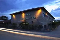 Hotel del Patio Hotels in Флорес