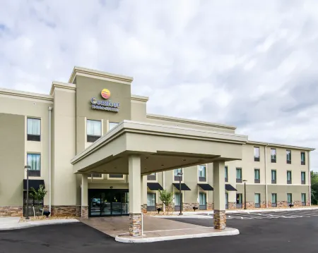 Comfort Inn & Suites Lynchburg Airport - University Area Отели в г. Форест