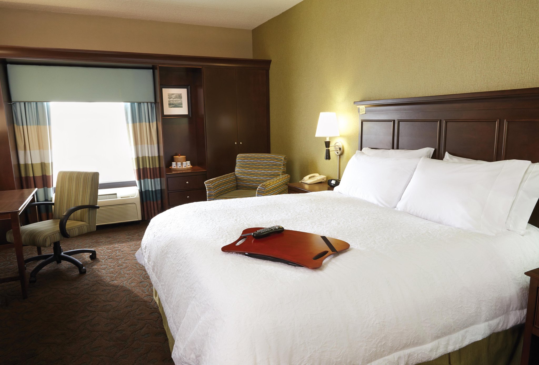 Hampton Inn by Hilton Elko Nevada