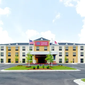 Comfort Suites Airport South
