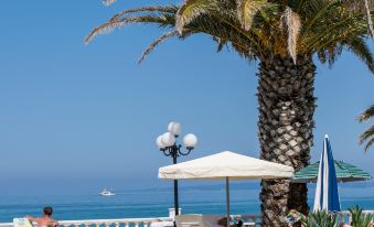 a palm tree is next to a pool with lounge chairs and people sitting by at Paradise Beach Hotel