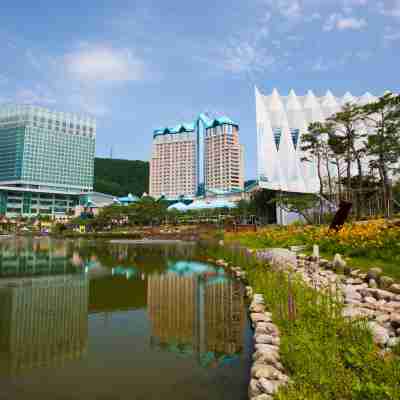 하이원 그랜드 호텔 메인타워 Hotel Exterior