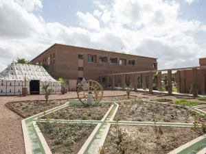 비 라이브 익스페리언스 마라케시 팔머레 -