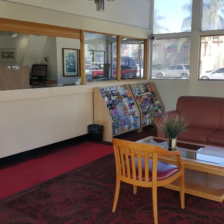 Willow Tree Lodge