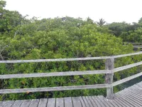 Villa Galapagos